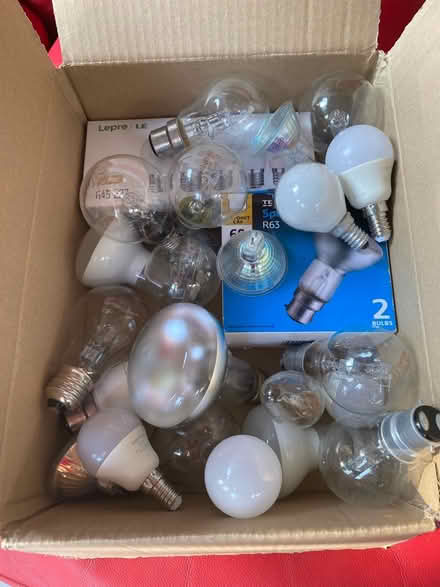 Photo of free Incandescent Bulbs (W4 Chiswick) #1