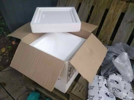 Photo of free Polystyrene cool box (Norham Manor OX2) #2