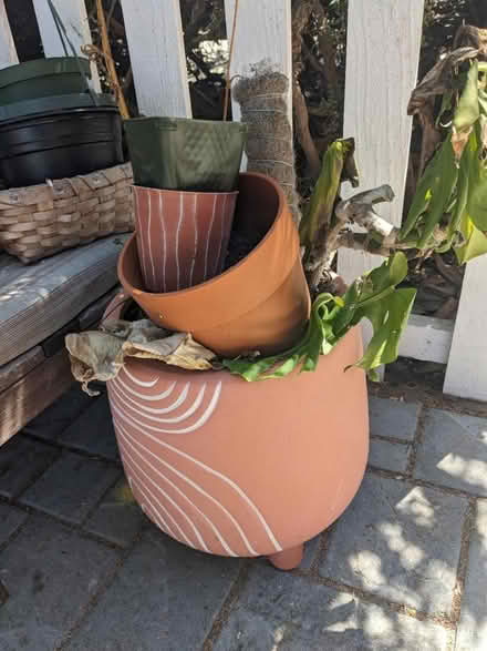 Photo of free Pots and plant paraphernalia (San Mateo Knolls) #2