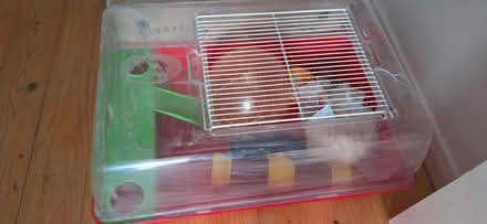 Photo of free Hamster box and accessories (Camberwell- SE5) #1