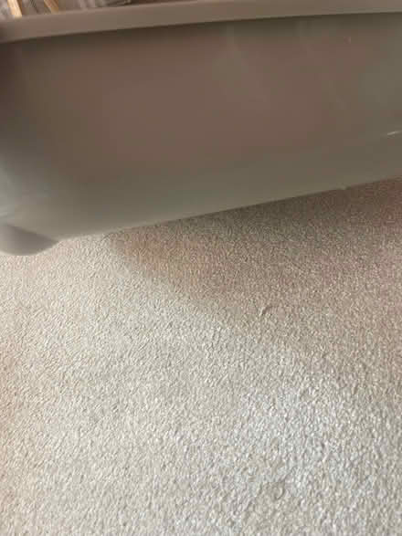 Photo of free Corner Cat Litter Tray (Southfields SW18) #2