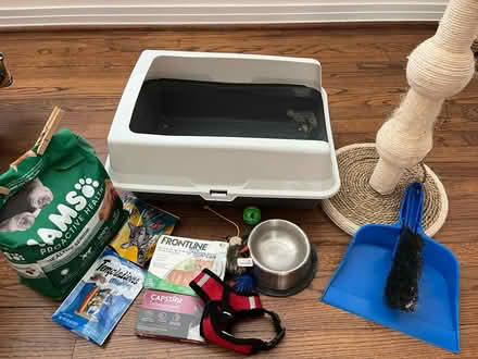 Photo of free Cat Care (Near NRG) #1