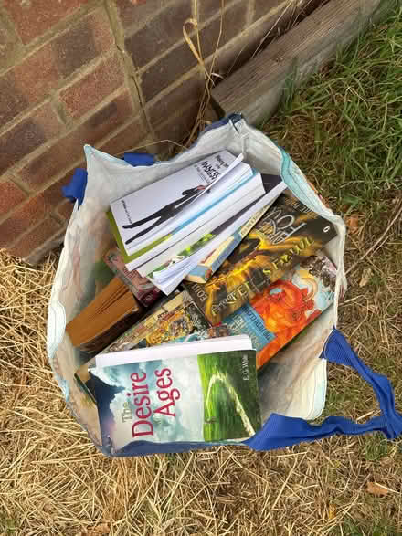 Photo of free Bag of books (Woodley RG5) #1
