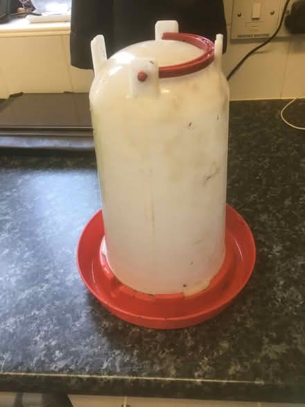 Photo of free Chicken feeder (Boxted CO4) #1