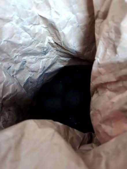 Photo of free Bag of Barbecue charcoal briquettes (Barton-in-Fabis CP NG11) #3