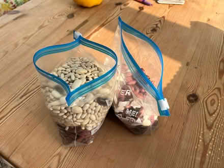 Photo of free Bean Seeds (Peppard Common RG9) #1