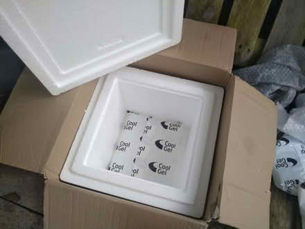 Photo of free Polystyrene cool box (Norham Manor OX2) #1