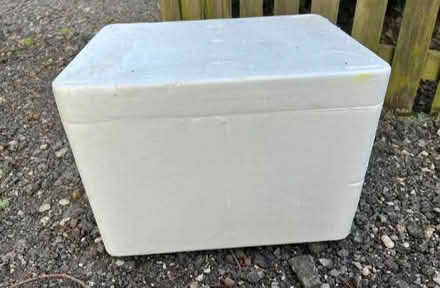 Photo of Polystyrene box (Tunbury Wood ME5) #1