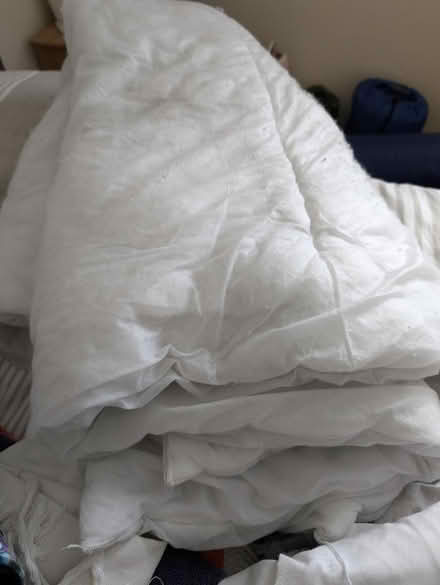 Photo of free Single duvet (Abingdon, OX14 3TD) #1