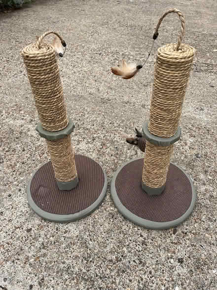 Photo of free Cat scratching posts 19 inches high (Wickford SS11 8LT) #1