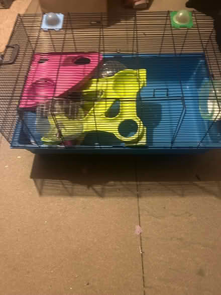 Photo of free Hamster cage (Osney OX2) #1