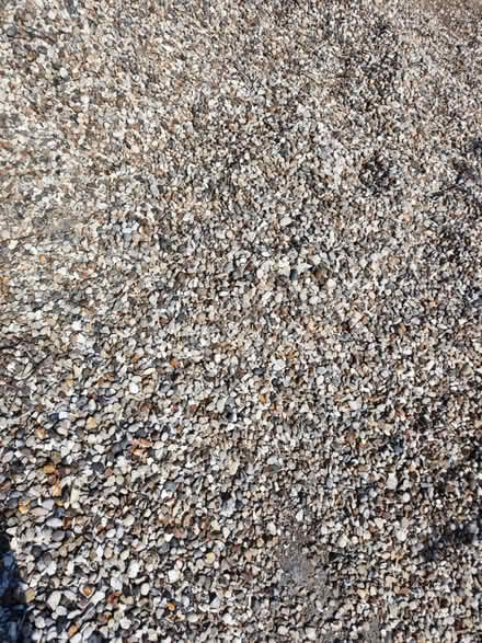 Photo of free Garden Shingles gravel stone 20mm (EN10 6FY) #3