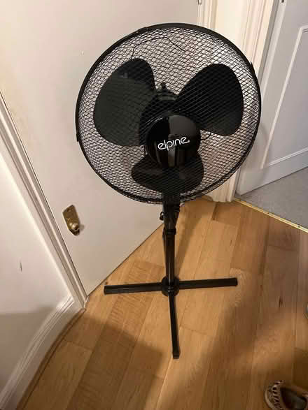 Photo of free Fan (Shepherd’s bush) #1