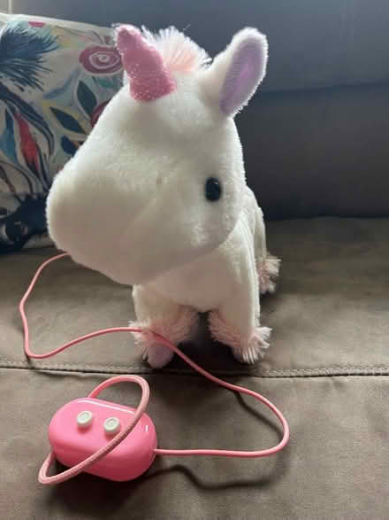 Photo of free Unicorn (Fairfield Park) #2