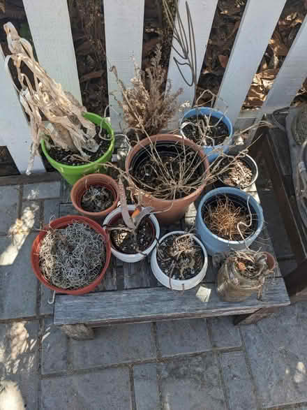 Photo of free Pots and plant paraphernalia (San Mateo Knolls) #4