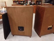 Photo of free StereoVoice Speakers (Erin Mills) #2