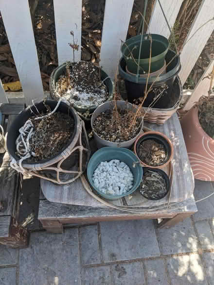 Photo of free Pots and plant paraphernalia (San Mateo Knolls) #3