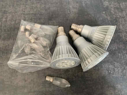 Photo of free Assorted bulbs (Leigh Park Havant) #1