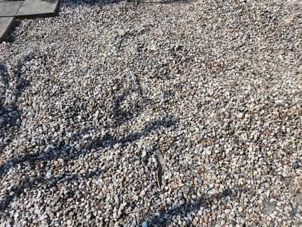 Photo of free Garden Shingles gravel stone 20mm (EN10 6FY) #2