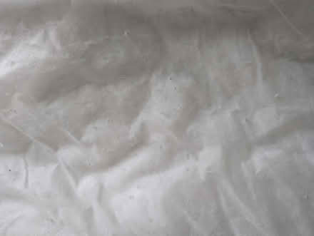 Photo of free Single duvet (Abingdon, OX14 3TD) #4