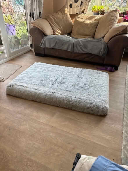 Photo of free Large fluffy dog bed (Redhill RH1) #1