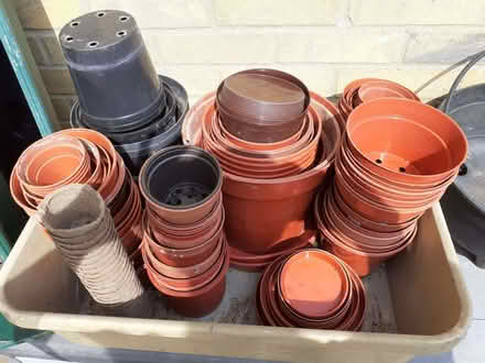 Photo of free Plastic Flower Pots, Saucers And Planters (CT11) #3