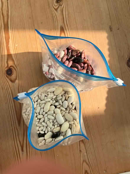 Photo of free Bean Seeds (Peppard Common RG9) #2