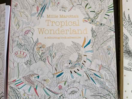 Photo of free 3 x Colouring books, incl Harry Potter (Roffey RH12) #2