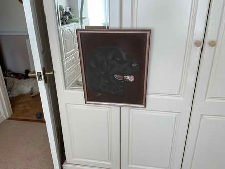 Photo of free Painting of Newfoundland dog (Mudeford BH23) #2