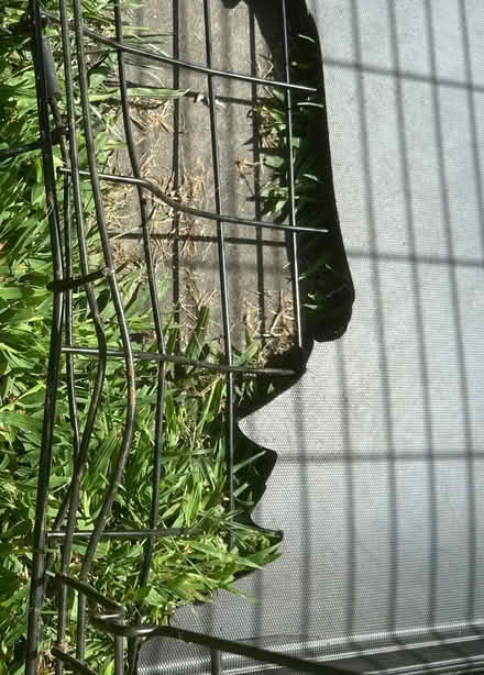 Photo of free Kong XL Ultra Strong Dog Crate (Port Murray, NJ) #3