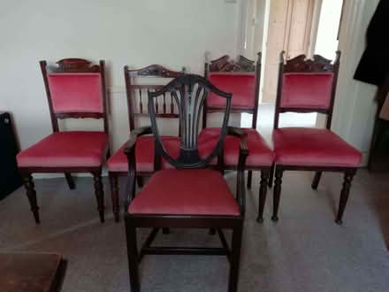 Photo of free Pink Dining Chairs (Upper Hartfield TN7) #3