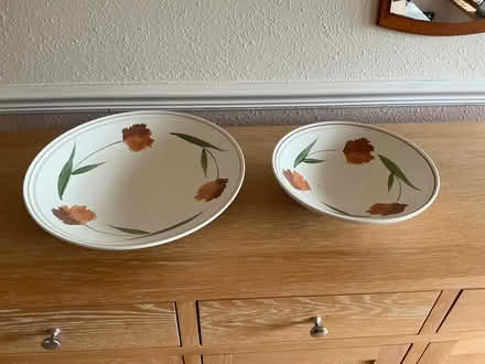 Photo of free Poole pottery dishes (Mudeford BH23) #1
