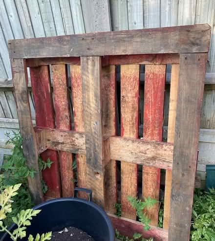 Photo of free 3 x Wooden pallets (Strood, ME2) #1