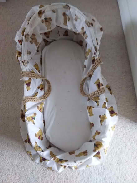 Photo of free Baby basket (Parson's Heath CO4) #1