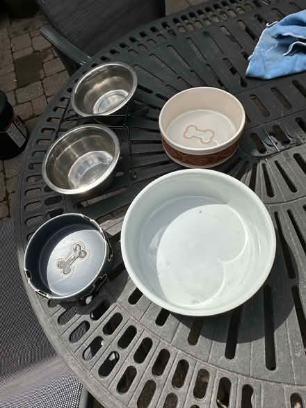 Photo of free Assorted pet bowls (Wattles and Squirrel) #1