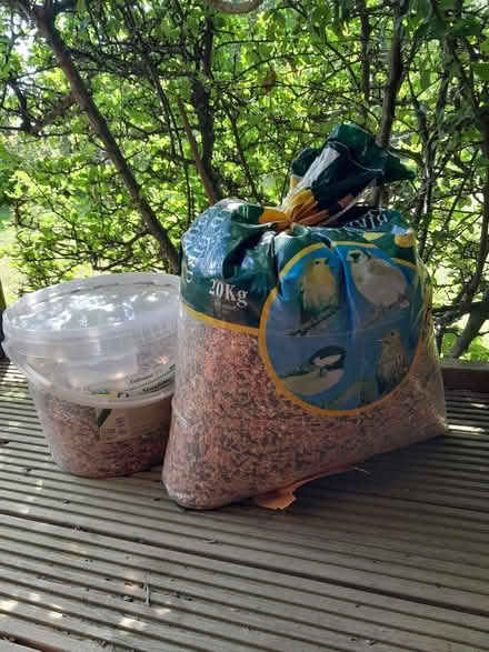 Photo of free Bird seed (Harley Shute TN38) #1