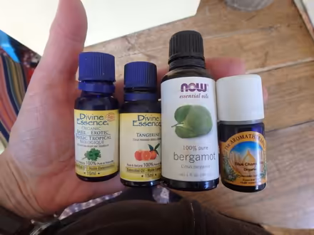 Photo of free Aromatic Essenses (Trinity Bellwoods) #1