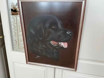 Photo of free Painting of Newfoundland dog (Mudeford BH23) #3
