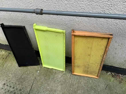 Photo of free Beekeeping Equipment (Leslieville) #1