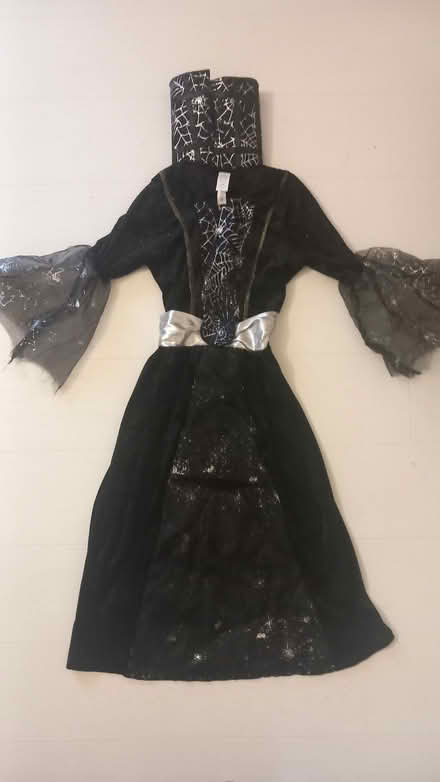 Photo of free Hallowe'en dress costume (Woodford E18) #2
