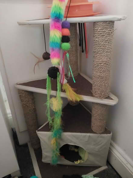 Photo of free 3 tier cat tree (Sheffield S8 Woodseats) #1