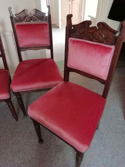 Photo of free Pink Dining Chairs (Upper Hartfield TN7) #2