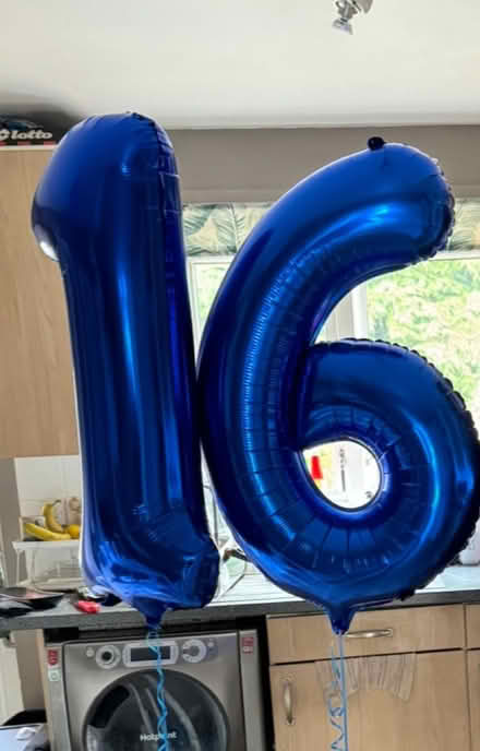 Photo of free Huge 16 ballon’s (BS13) #1
