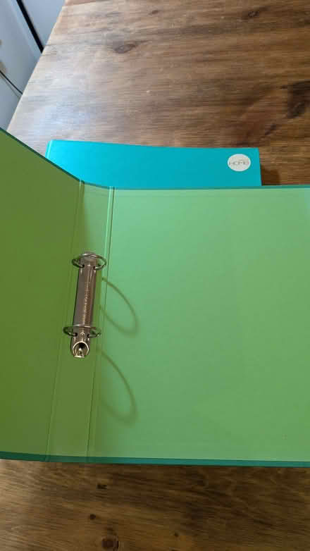 Photo of free 2 files with sleeves (Old Woking GU22) #2