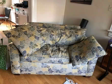 Photo of free Loveseat (Chevy Chase DC) #1