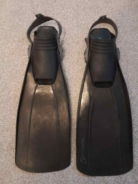 Photo of free Flippers (Stevenage) #1