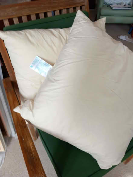 Photo of free Feather cushion pads (Emsworth PO10) #1