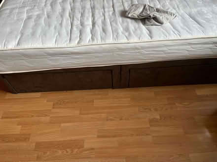 Photo of free Single Bed (Wood Green N22) #1