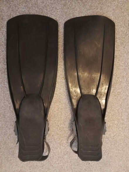 Photo of free Flippers (Stevenage) #2
