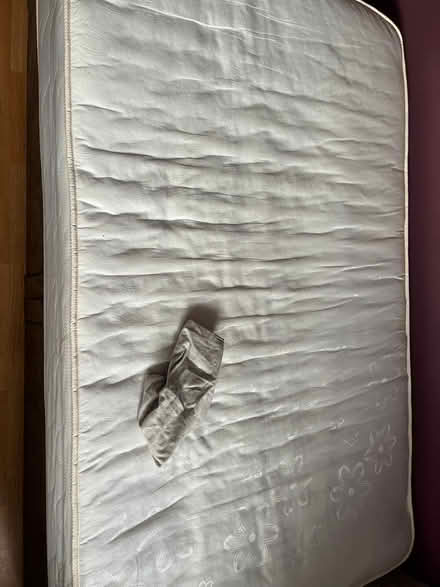 Photo of free Single Bed (Wood Green N22) #2